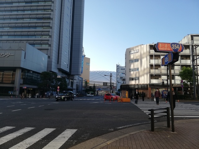 IMG_20191116_072654.jpg