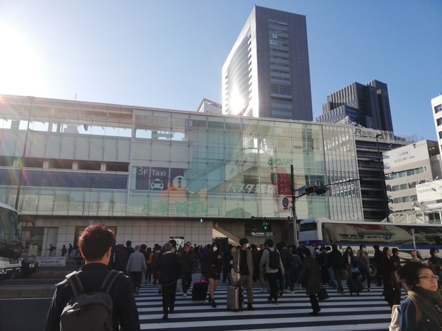 IMG_20191116_085410.jpg