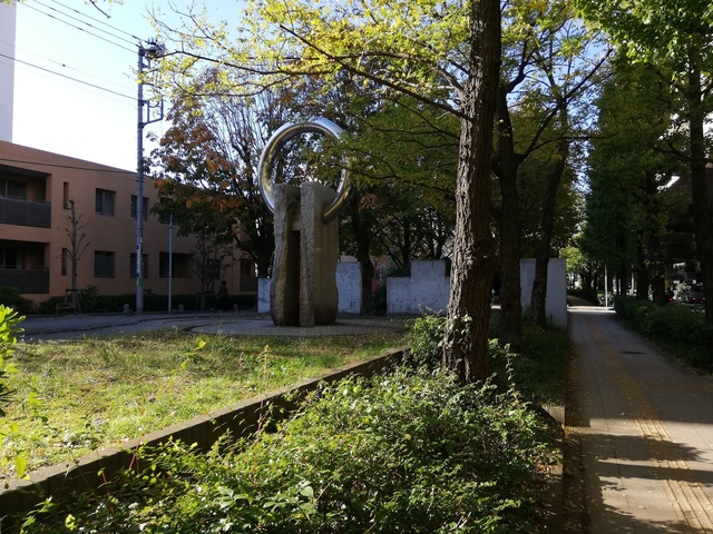 IMG_20191116_091819.jpg