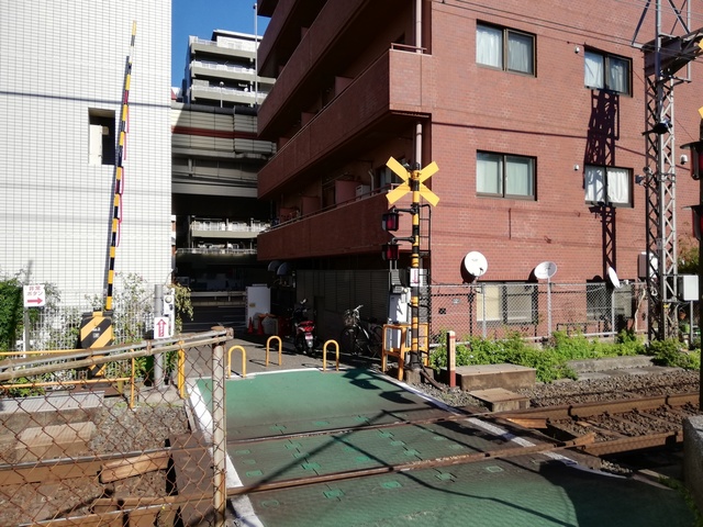 IMG_20191116_092803.jpg