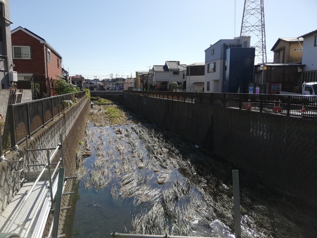 IMG_20191116_111755.jpg