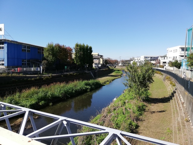 IMG_20191116_114817.jpg